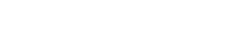 Kokerboom Logo Reversed White Adzooka Website Design