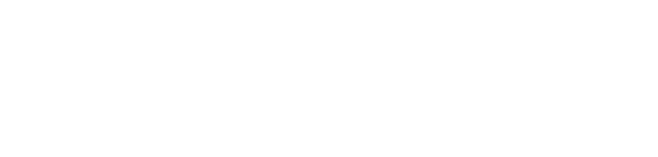 Kokerboom Logo Reversed White Adzooka Website Design